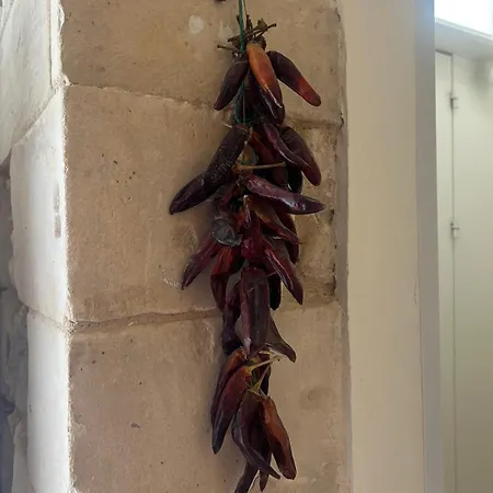 Apartment Exclusive Flat With Terrace & Bbq