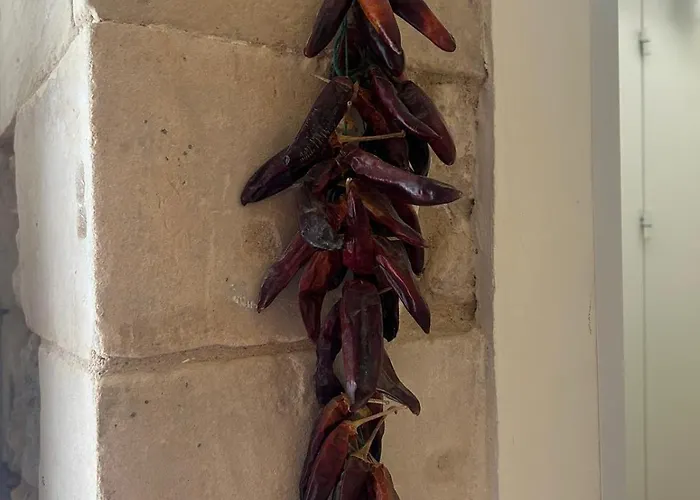 Appartement Exclusive Flat With Terrace & Bbq